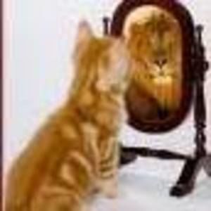 Meet your Posher, Irma